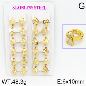 Stainless Steel Earrings  2E3000460ajma-446