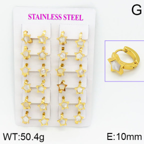 Stainless Steel Earrings  2E3000461ajma-446