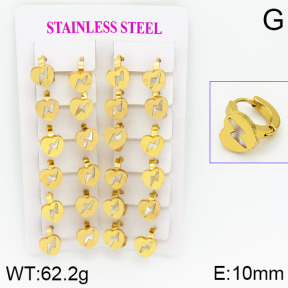 Stainless Steel Earrings  2E3000462ajma-446