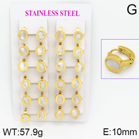 Stainless Steel Earrings  2E3000463ajma-446