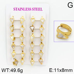 Stainless Steel Earrings  2E3000464ajma-446