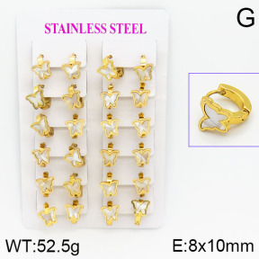 Stainless Steel Earrings  2E3000465ajma-446