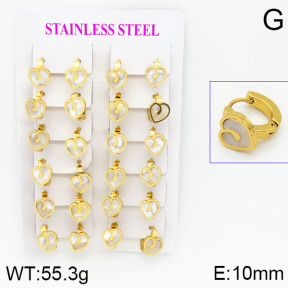 Stainless Steel Earrings  2E3000466ajma-446