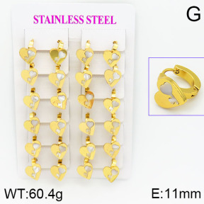 Stainless Steel Earrings  2E3000467ajma-446