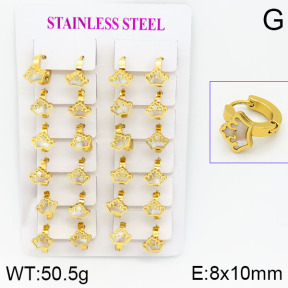 Stainless Steel Earrings  2E3000468ajma-446