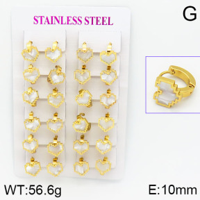 Stainless Steel Earrings  2E3000469ajma-446