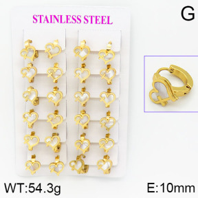 Stainless Steel Earrings  2E3000470ajma-446