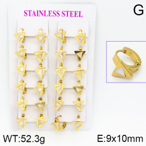 Stainless Steel Earrings  2E3000471ajma-446