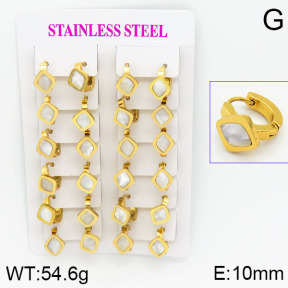 Stainless Steel Earrings  2E3000472ajma-446