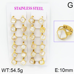 Stainless Steel Earrings  2E3000473ajma-446