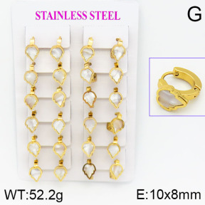 Stainless Steel Earrings  2E3000474ajma-446