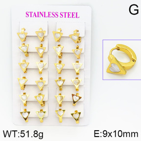 Stainless Steel Earrings  2E3000475ajma-446