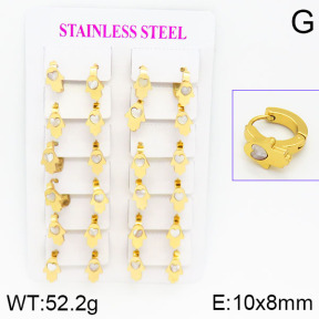 Stainless Steel Earrings  2E3000476ajma-446