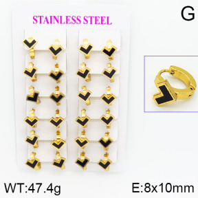 Stainless Steel Earrings  2E4000731ajma-446