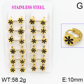 Stainless Steel Earrings  2E4000732ajma-446