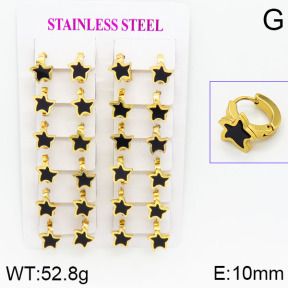 Stainless Steel Earrings  2E4000734ajma-446