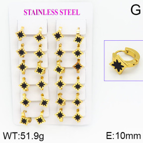 Stainless Steel Earrings  2E4000735ajma-446