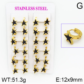 Stainless Steel Earrings  2E4000736ajma-446