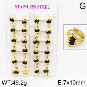 Stainless Steel Earrings  2E4000737ajma-446