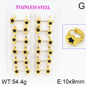 Stainless Steel Earrings  2E4000738ajma-446