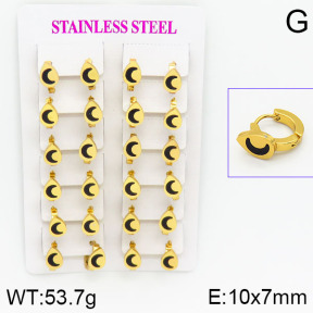 Stainless Steel Earrings  2E4000741ajma-446
