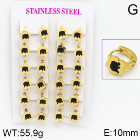 Stainless Steel Earrings  2E4000742ajma-446