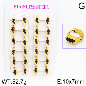 Stainless Steel Earrings  2E4000743ajma-446