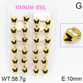 Stainless Steel Earrings  2E4000745ajma-446