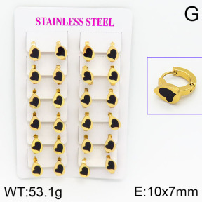 Stainless Steel Earrings  2E4000747ajma-446
