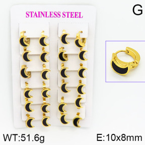 Stainless Steel Earrings  2E4000748ajma-446