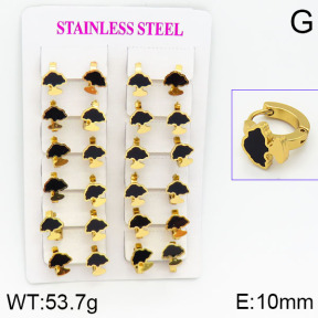 Stainless Steel Earrings  2E4000749ajma-446