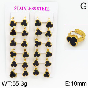 Stainless Steel Earrings  2E4000750ajma-446