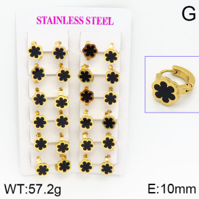 Stainless Steel Earrings  2E4000751ajma-446