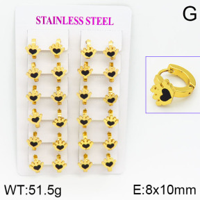 Stainless Steel Earrings  2E4000752ajma-446