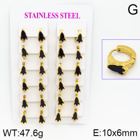 Stainless Steel Earrings  2E4000753ajma-446