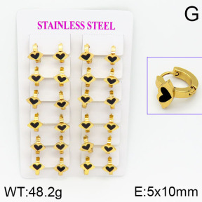 Stainless Steel Earrings  2E4000754ajma-446