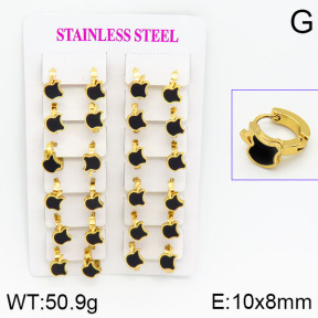 Stainless Steel Earrings  2E4000755ajma-446