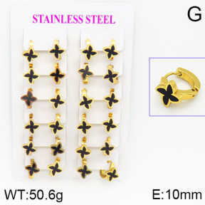 Stainless Steel Earrings  2E4000756ajma-446
