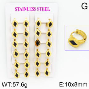Stainless Steel Earrings  2E4000757ajma-446