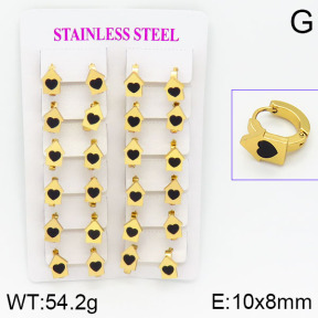 Stainless Steel Earrings  2E4000758ajma-446