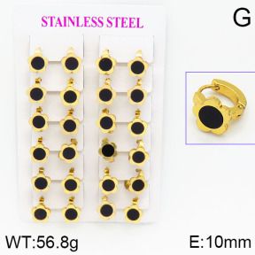 Stainless Steel Earrings  2E4000759ajma-446