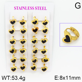 Stainless Steel Earrings  2E4000760ajma-446