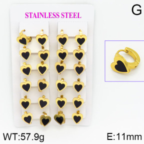 Stainless Steel Earrings  2E4000761ajma-446
