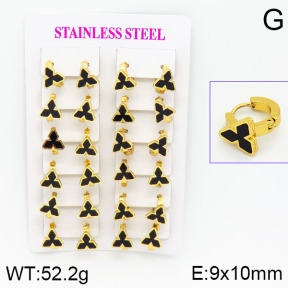 Stainless Steel Earrings  2E4000762ajma-446