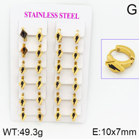 Stainless Steel Earrings  2E4000763ajma-446