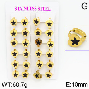 Stainless Steel Earrings  2E4000764ajma-446