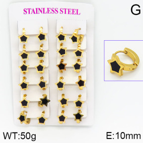 Stainless Steel Earrings  2E4000766ajma-446
