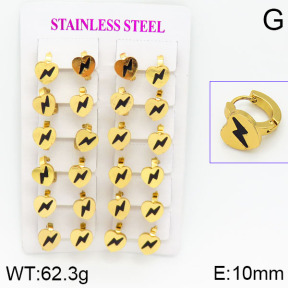 Stainless Steel Earrings  2E4000767ajma-446
