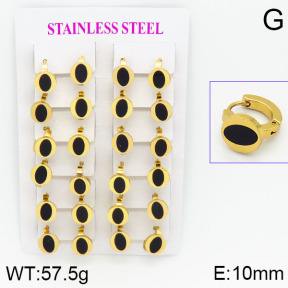 Stainless Steel Earrings  2E4000768ajma-446