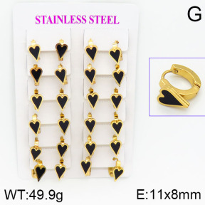 Stainless Steel Earrings  2E4000769ajma-446
